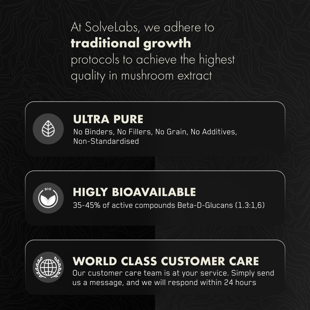 Lion's Mane - Solvelabs