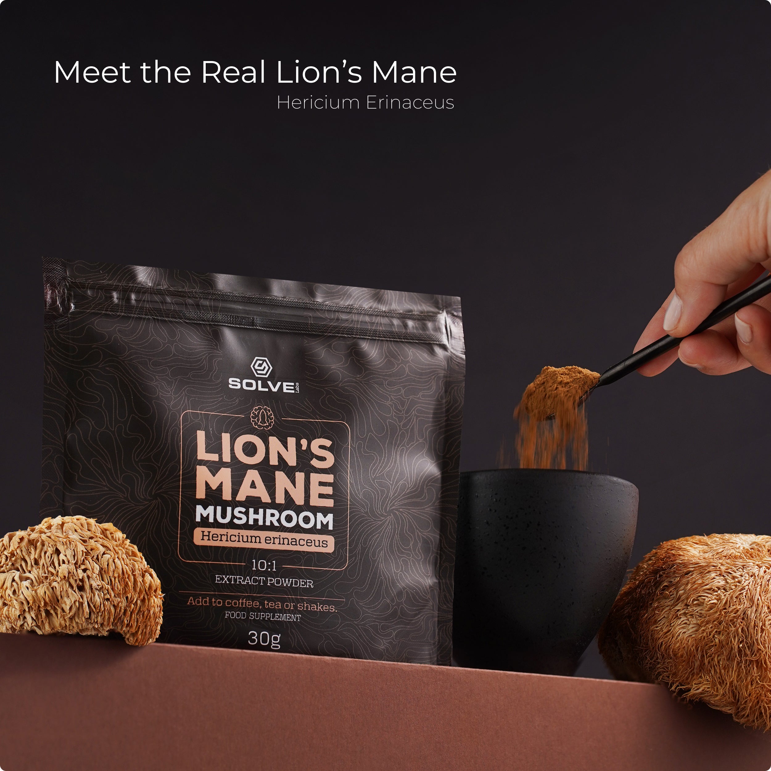 Lion's Mane - Solvelabs