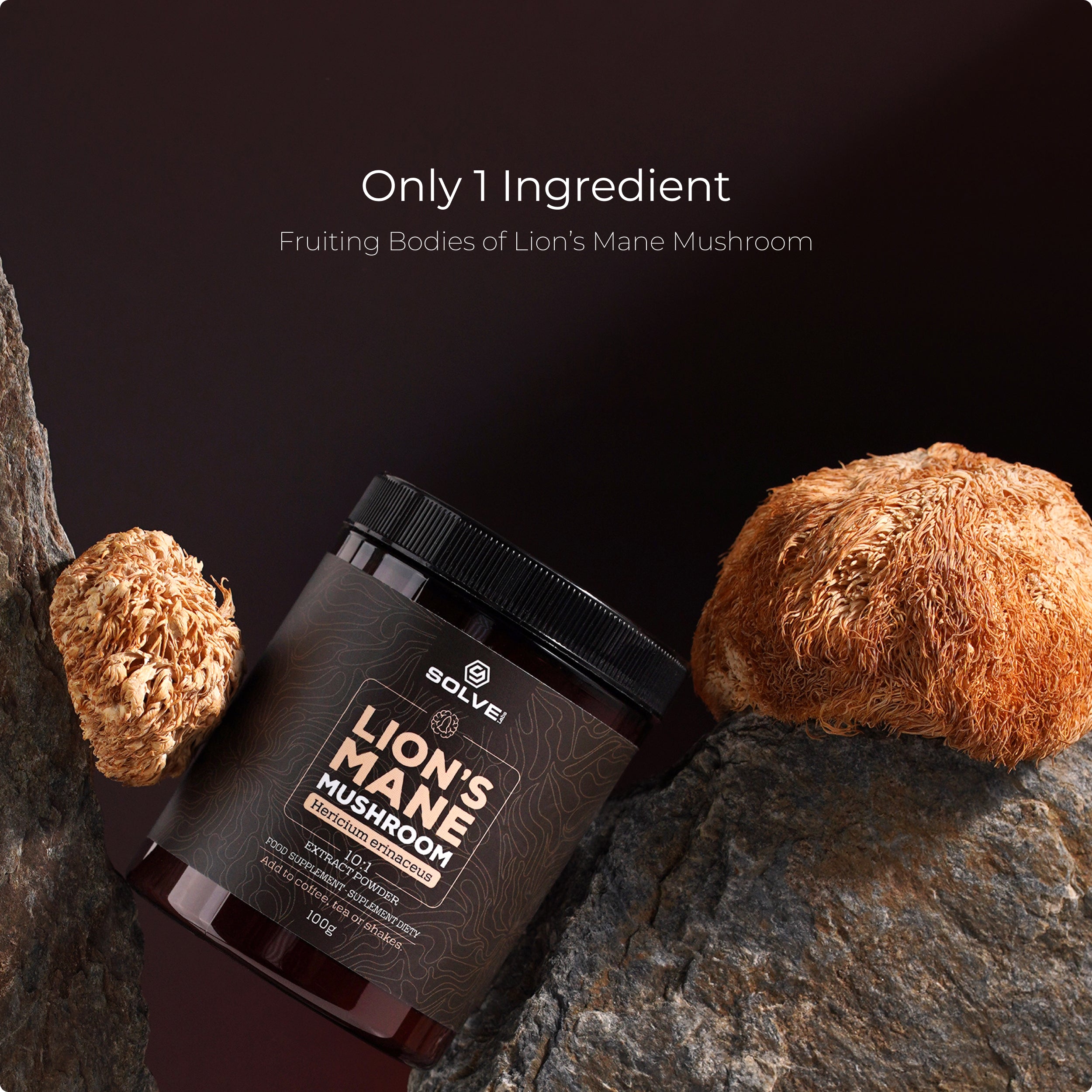 Lion's Mane - Solvelabs