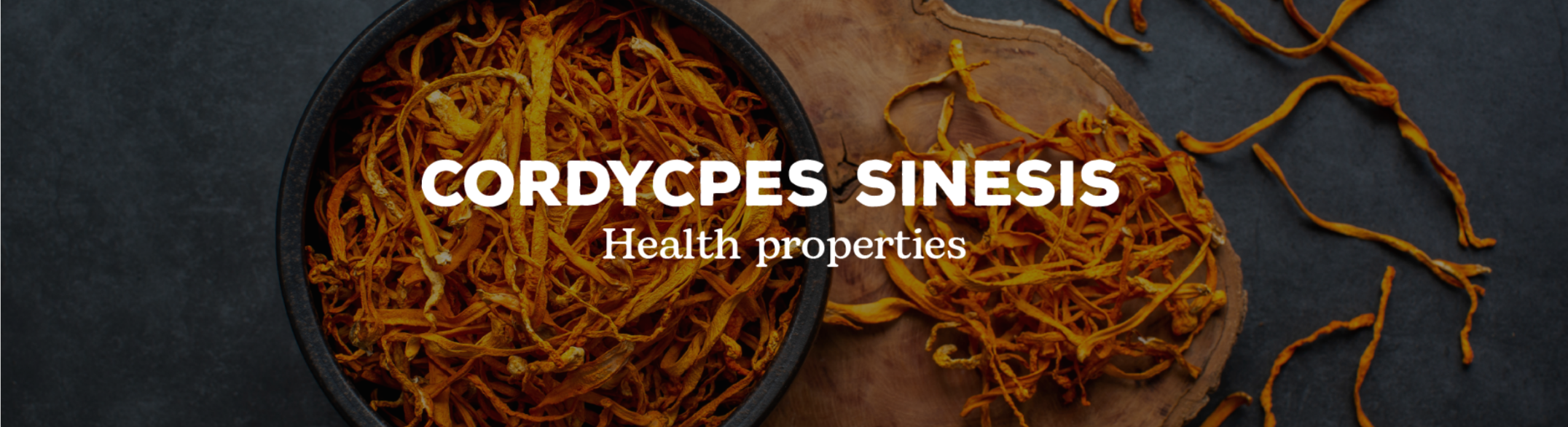 Cordyceps Sinesis - Health Properties