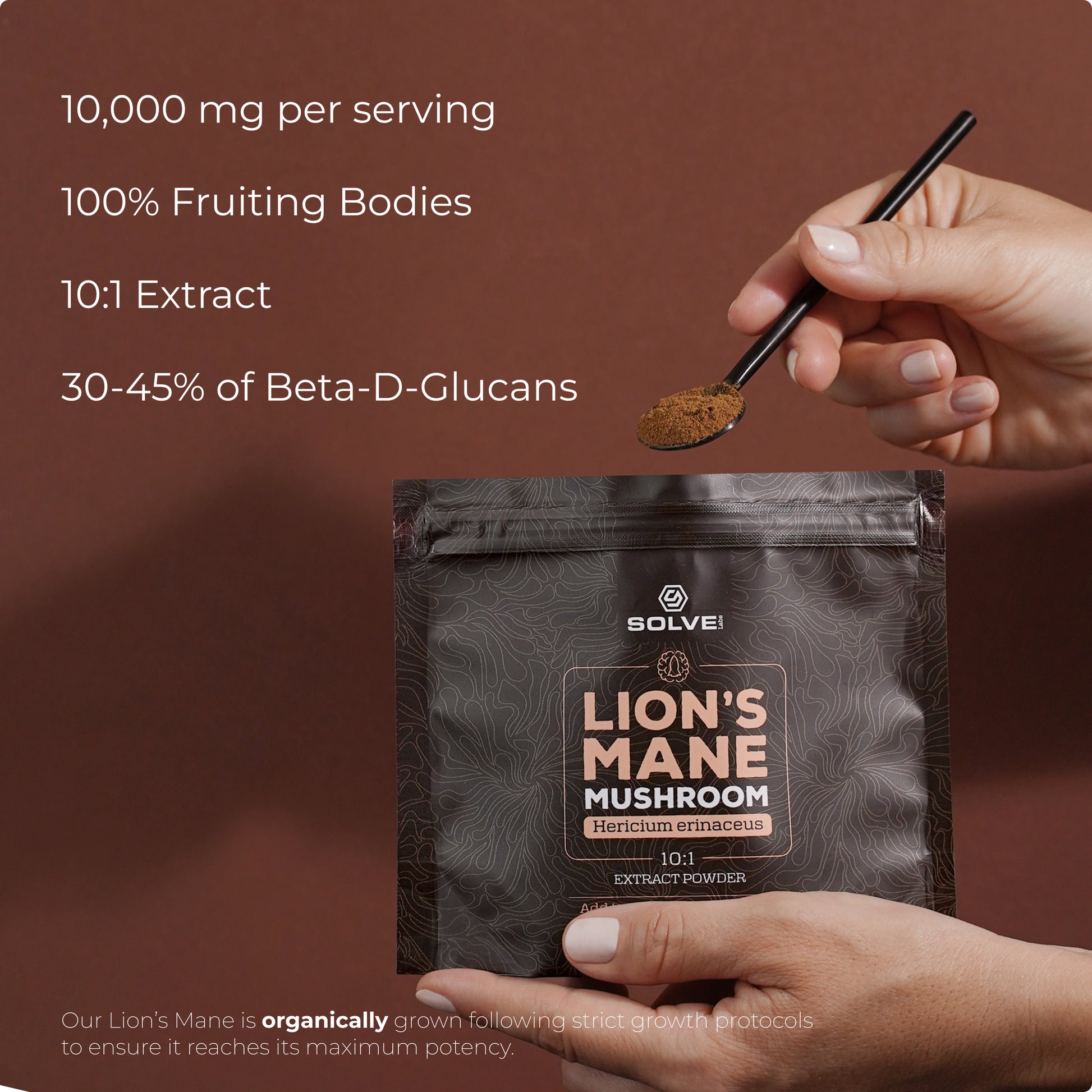 SolveLabs Lion's Mane mushroom extract powder for focus and memory (view 13)