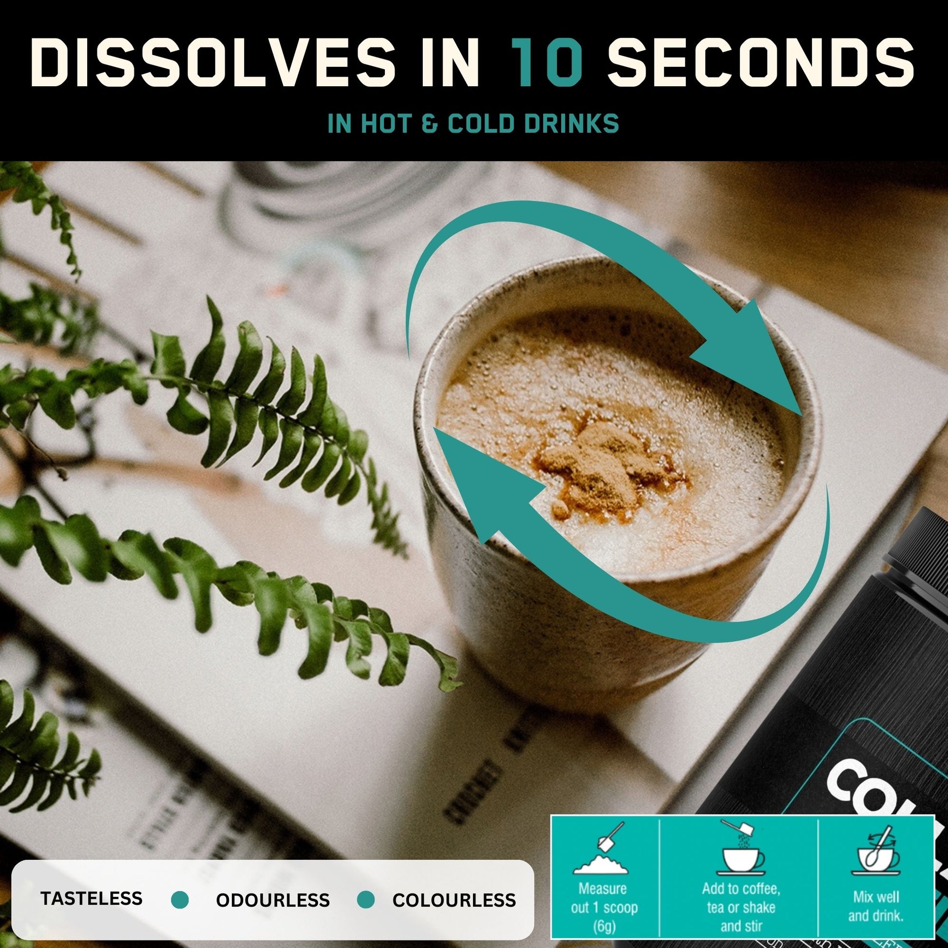 Lion's Mane - Solvelabs