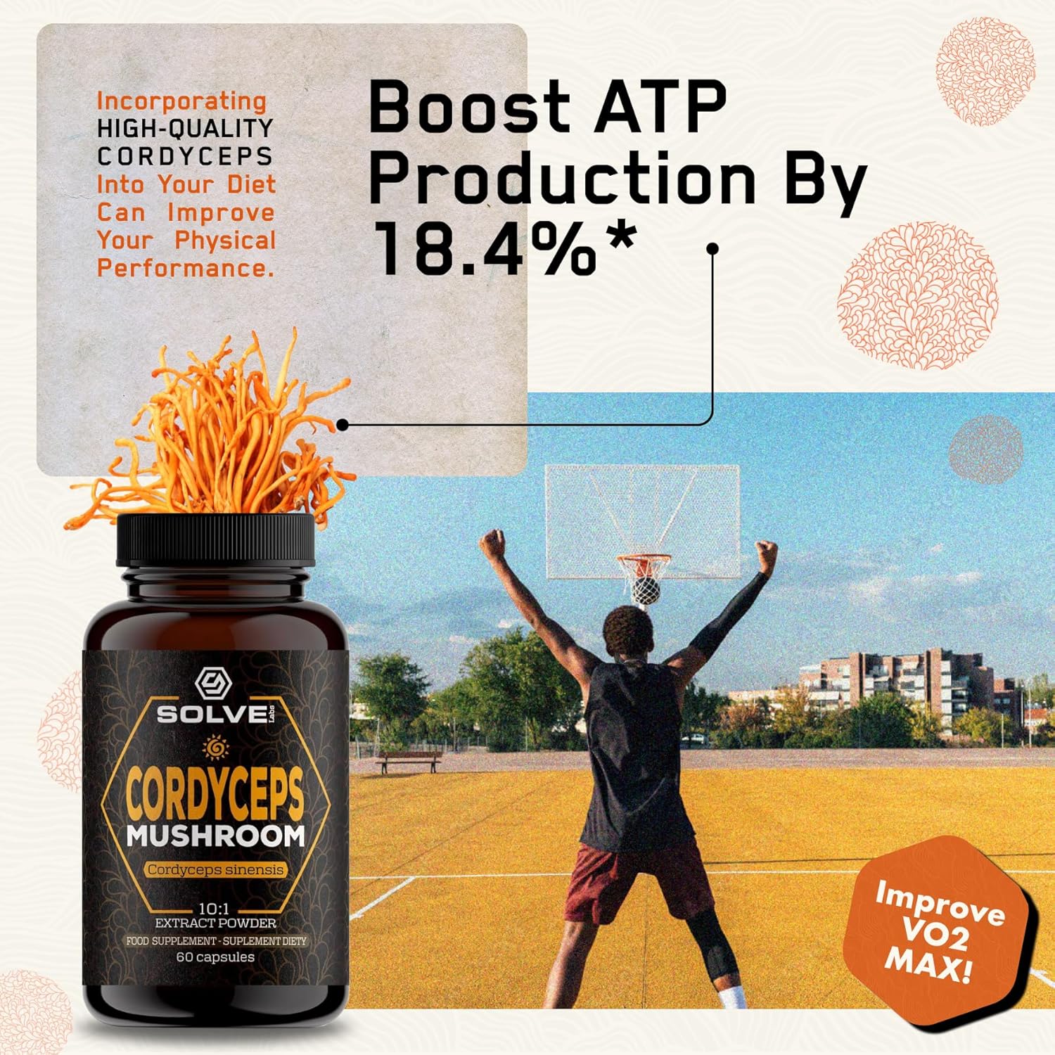 Lion's Mane - Solvelabs