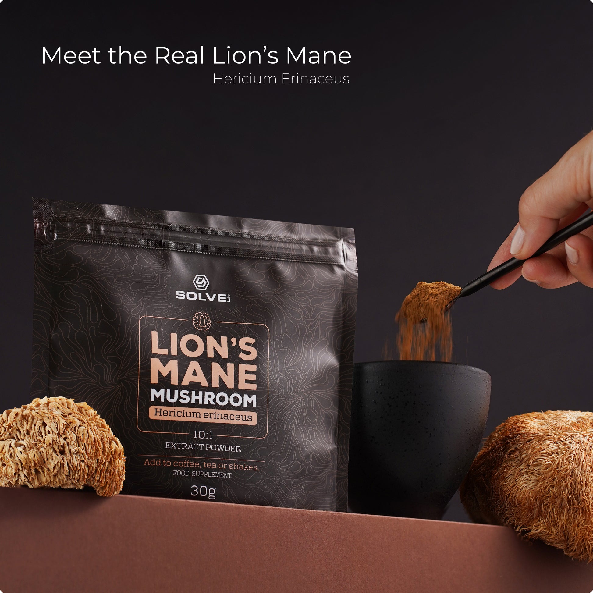 SolveLabs Lion's Mane mushroom extract powder for focus and memory (view 10)