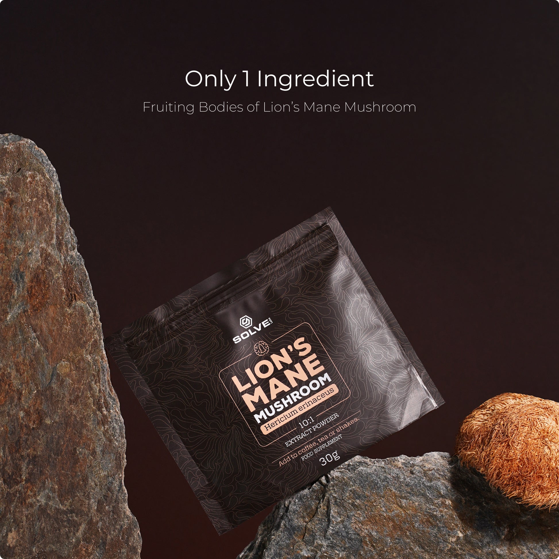 SolveLabs Lion's Mane mushroom extract powder for focus and memory (view 11)