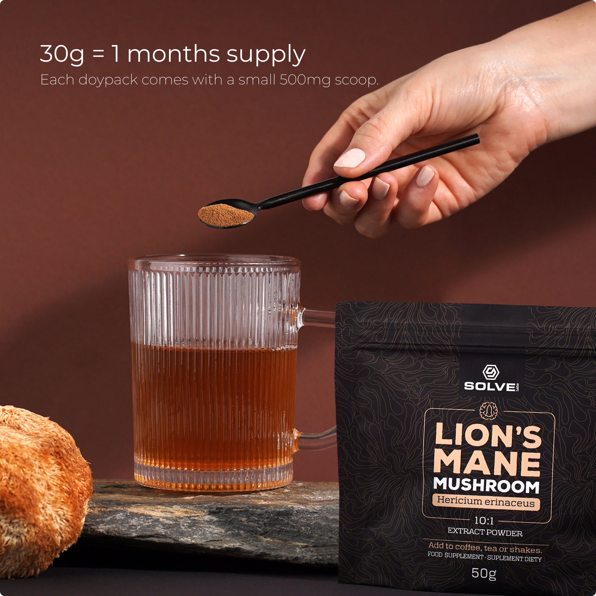 SolveLabs Lion's Mane mushroom extract powder for focus and memory (view 12)