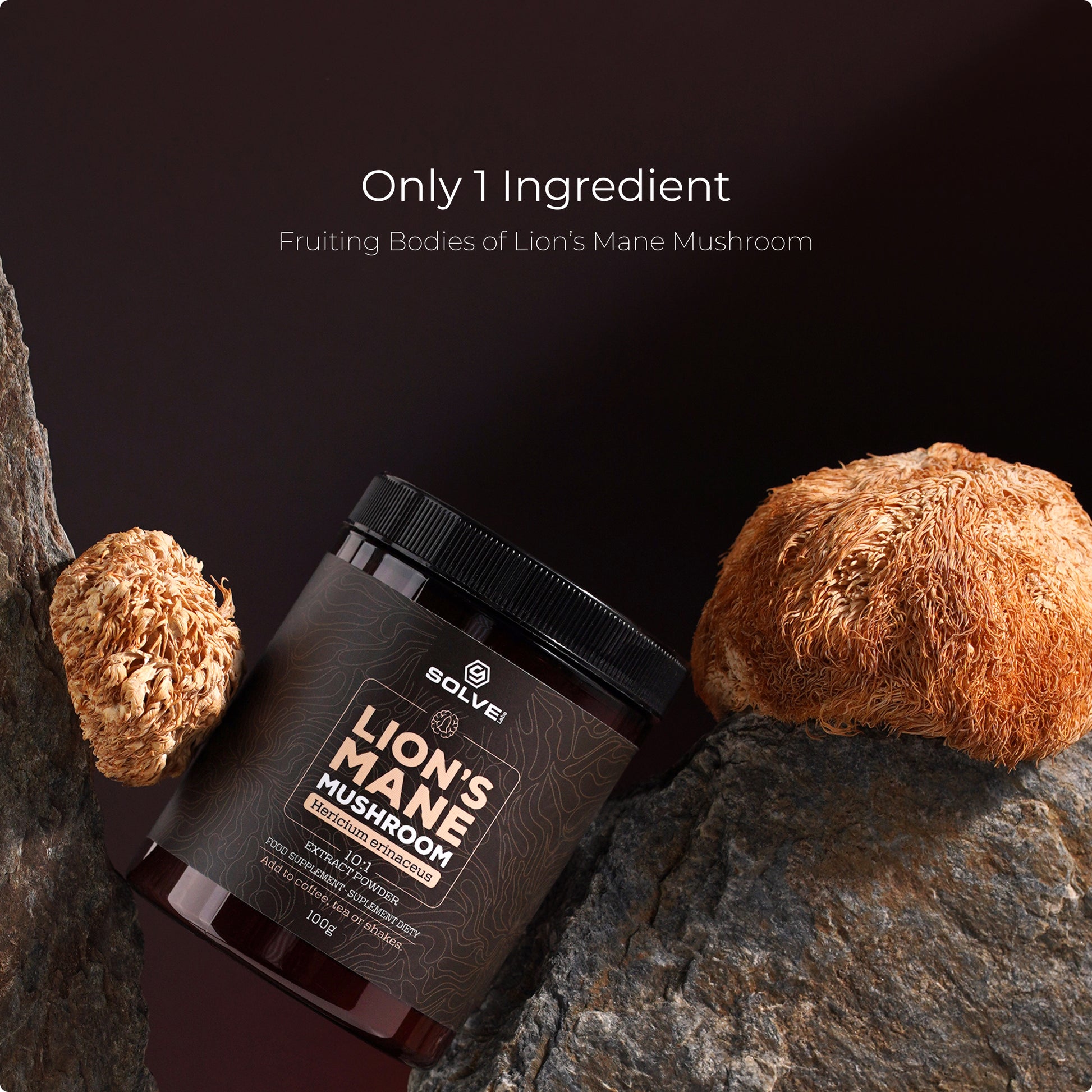 SolveLabs Lion's Mane mushroom extract powder for focus and memory (view 3)