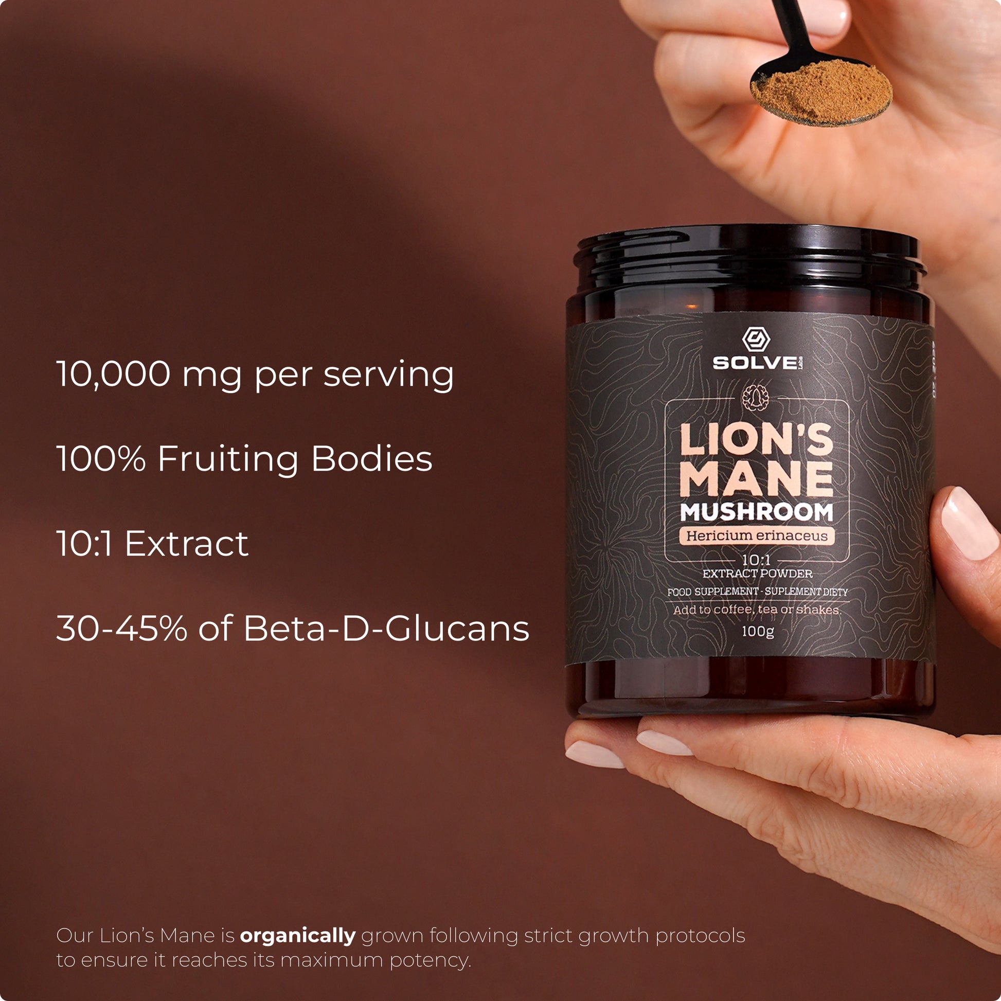 SolveLabs Lion's Mane mushroom extract powder for focus and memory (view 4)