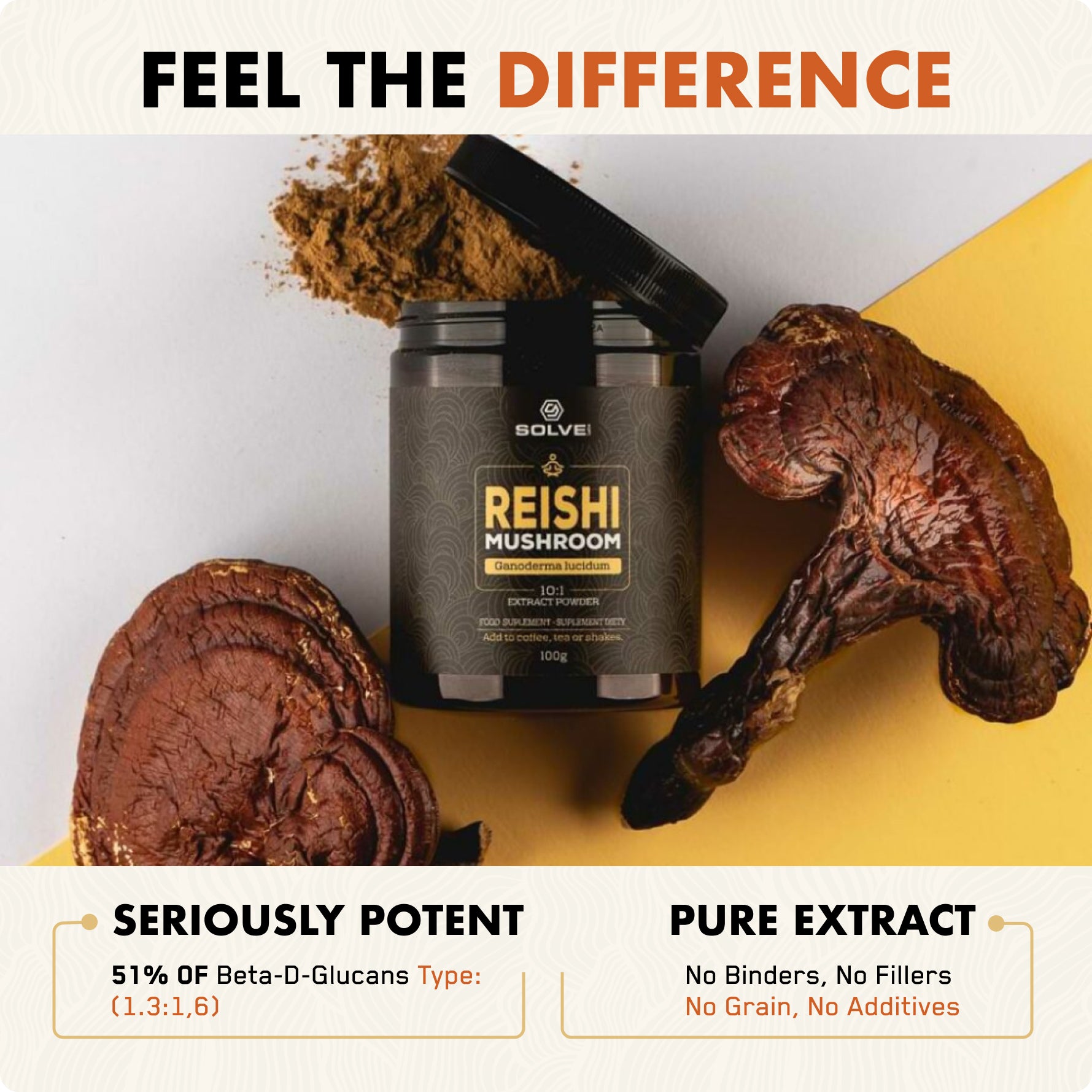 Lion's Mane - Solvelabs