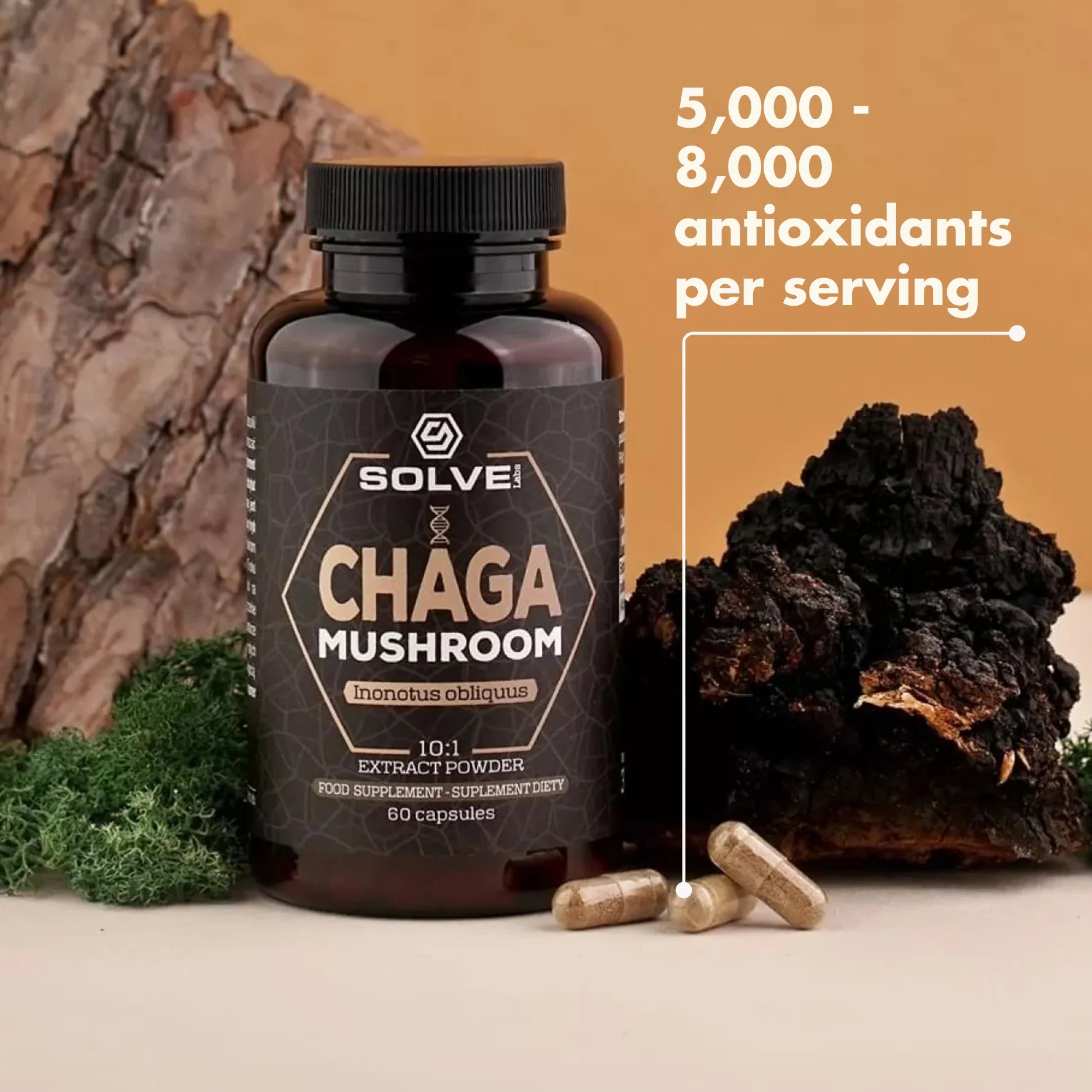 Lion's Mane - Solvelabs