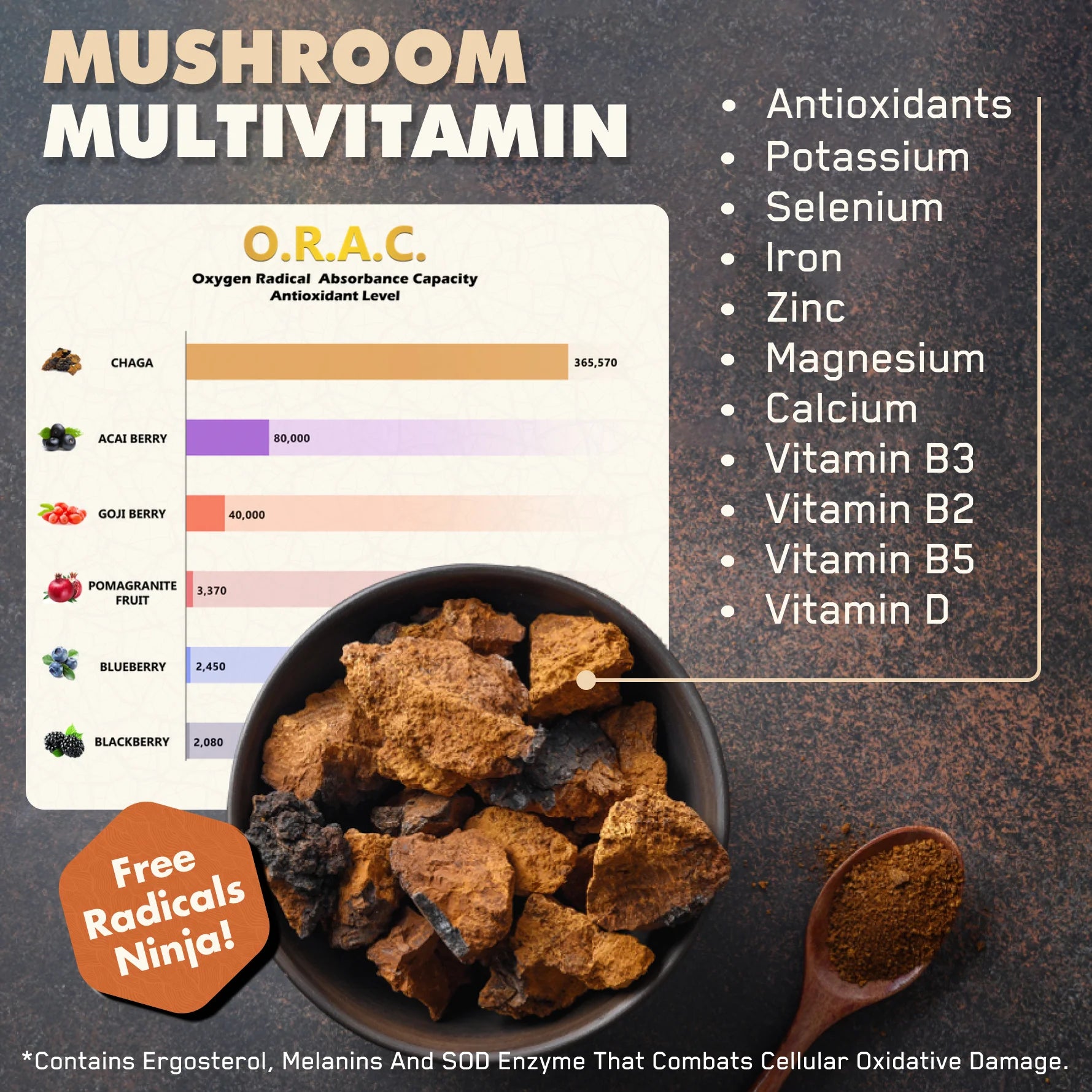 Lion's Mane - Solvelabs