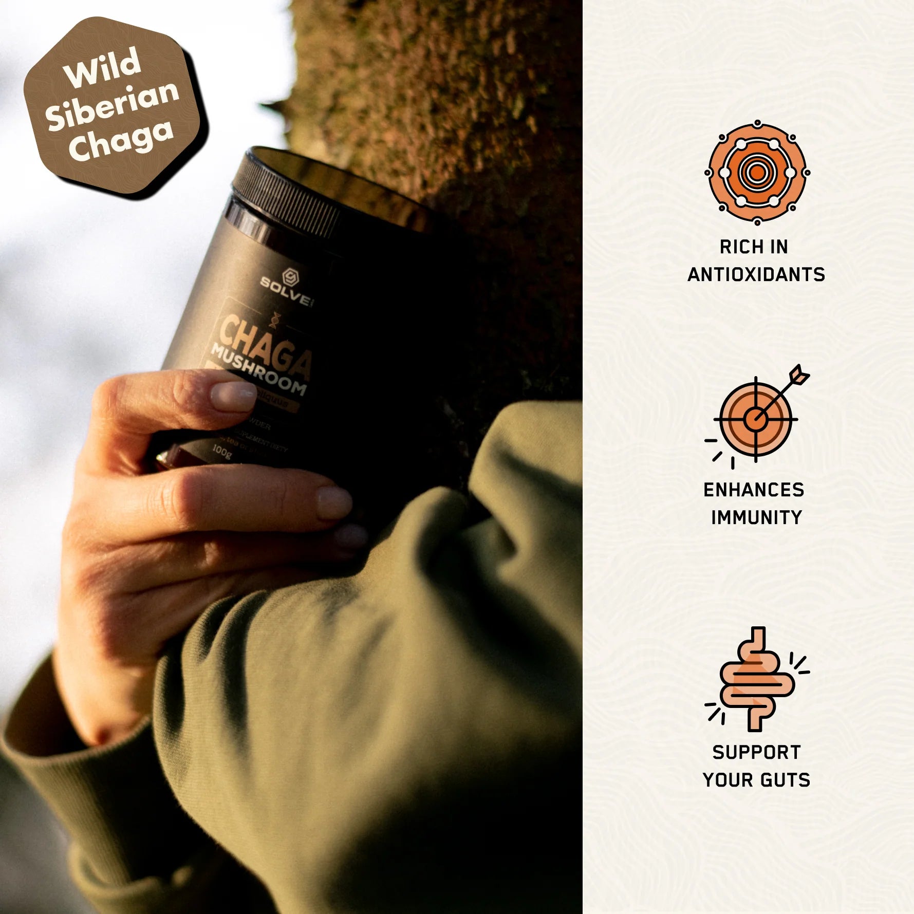 Lion's Mane - Solvelabs