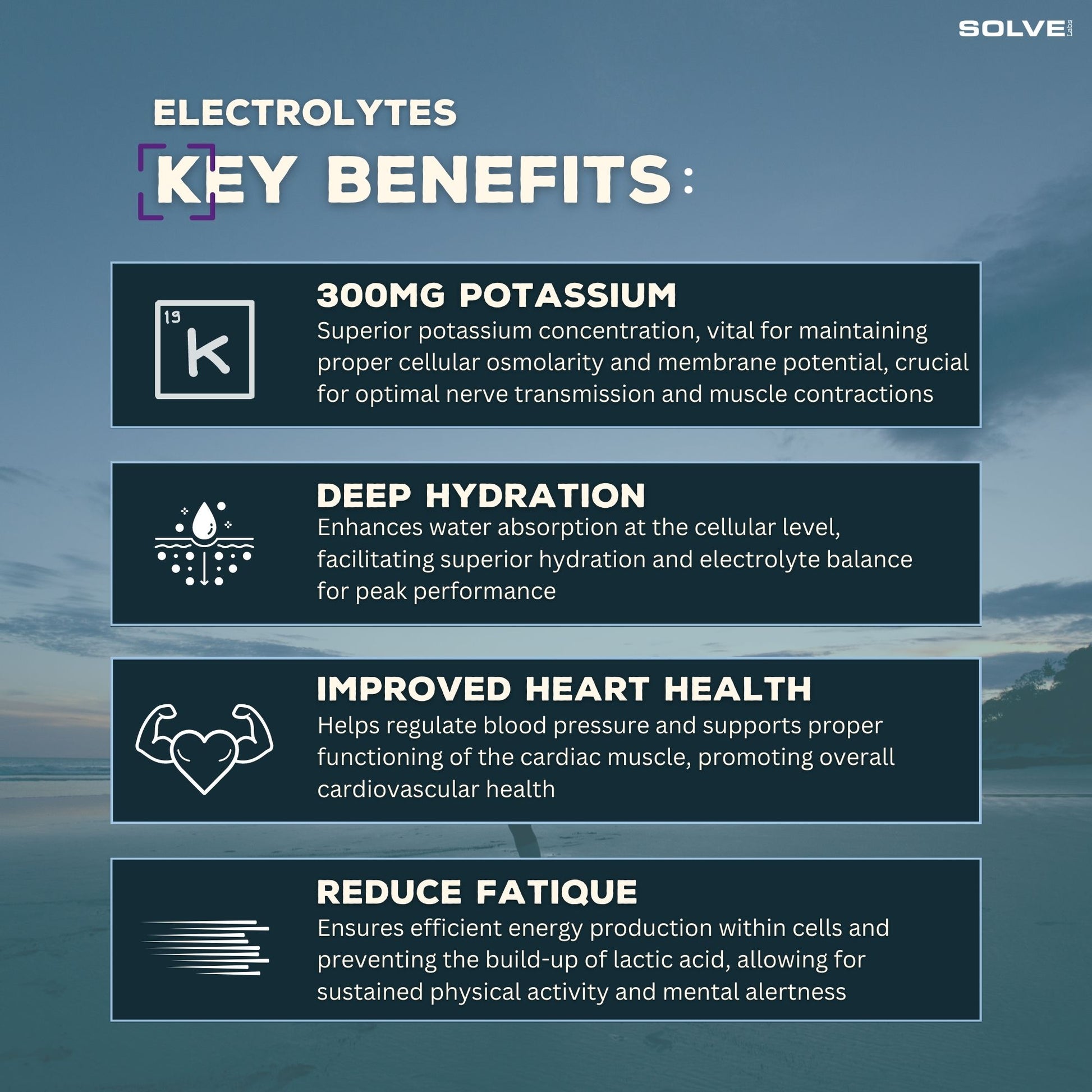 SolveLabs Electrolytes hydration powder, Hibiscus and Blackcurrant (view 4)