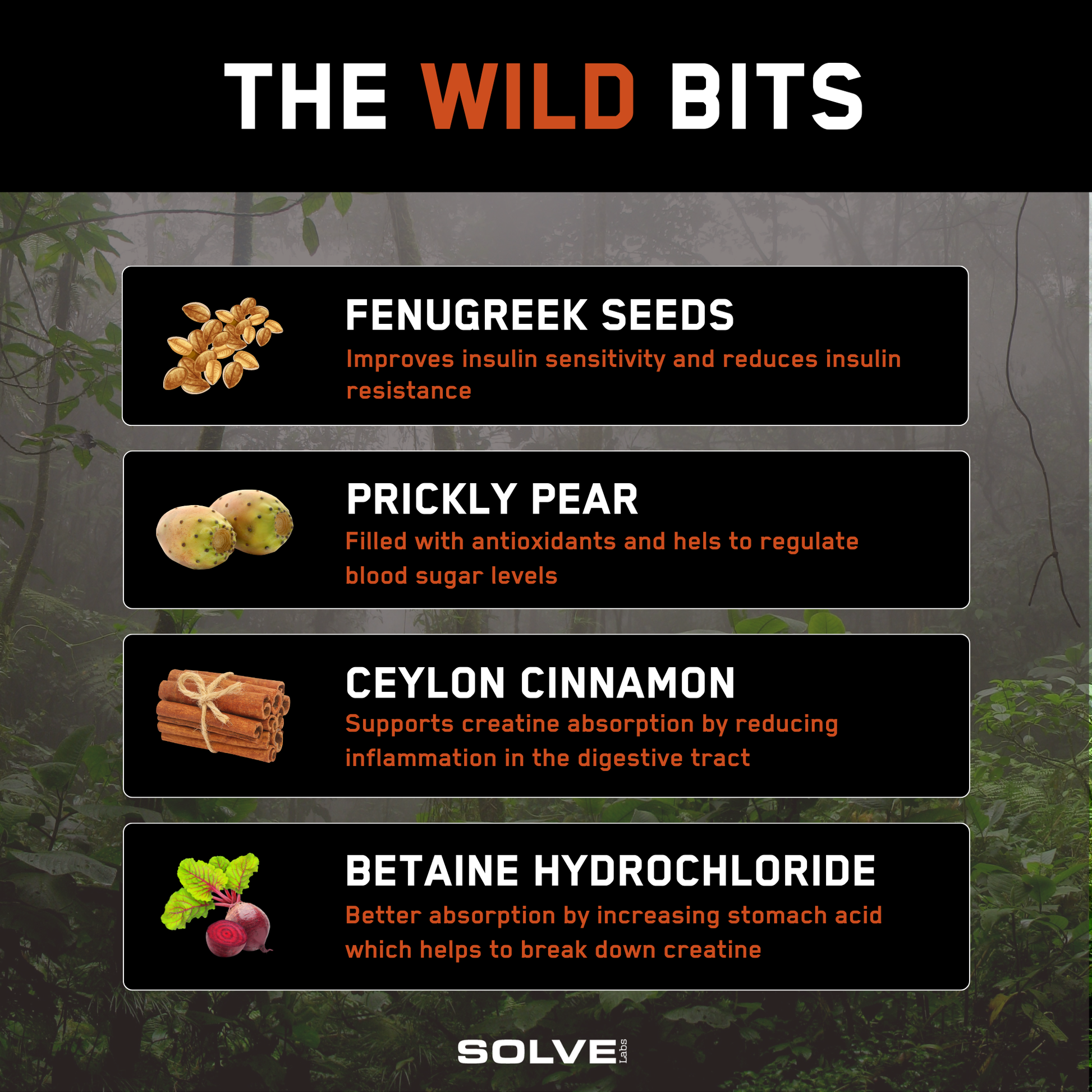 Lion's Mane - Solvelabs