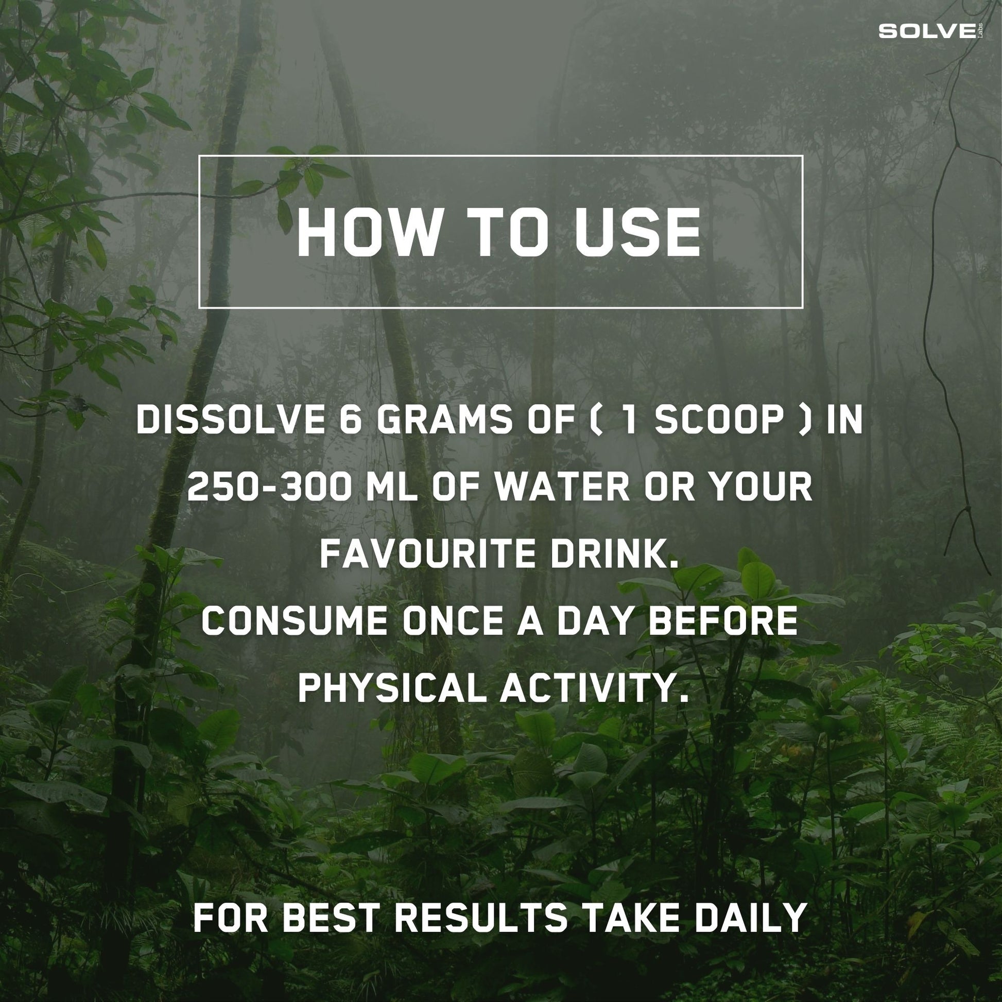 Lion's Mane - Solvelabs