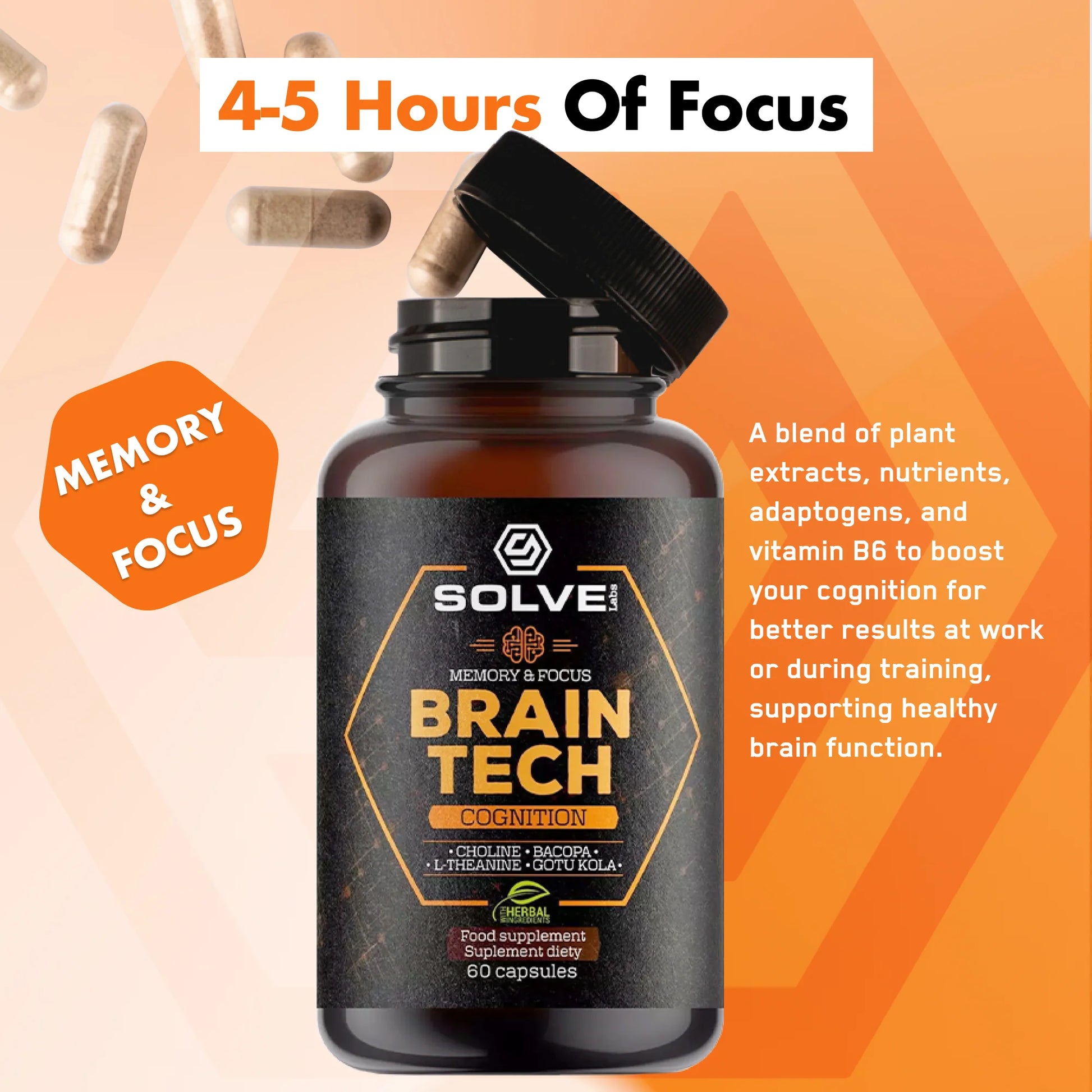 Lion's Mane - Solvelabs