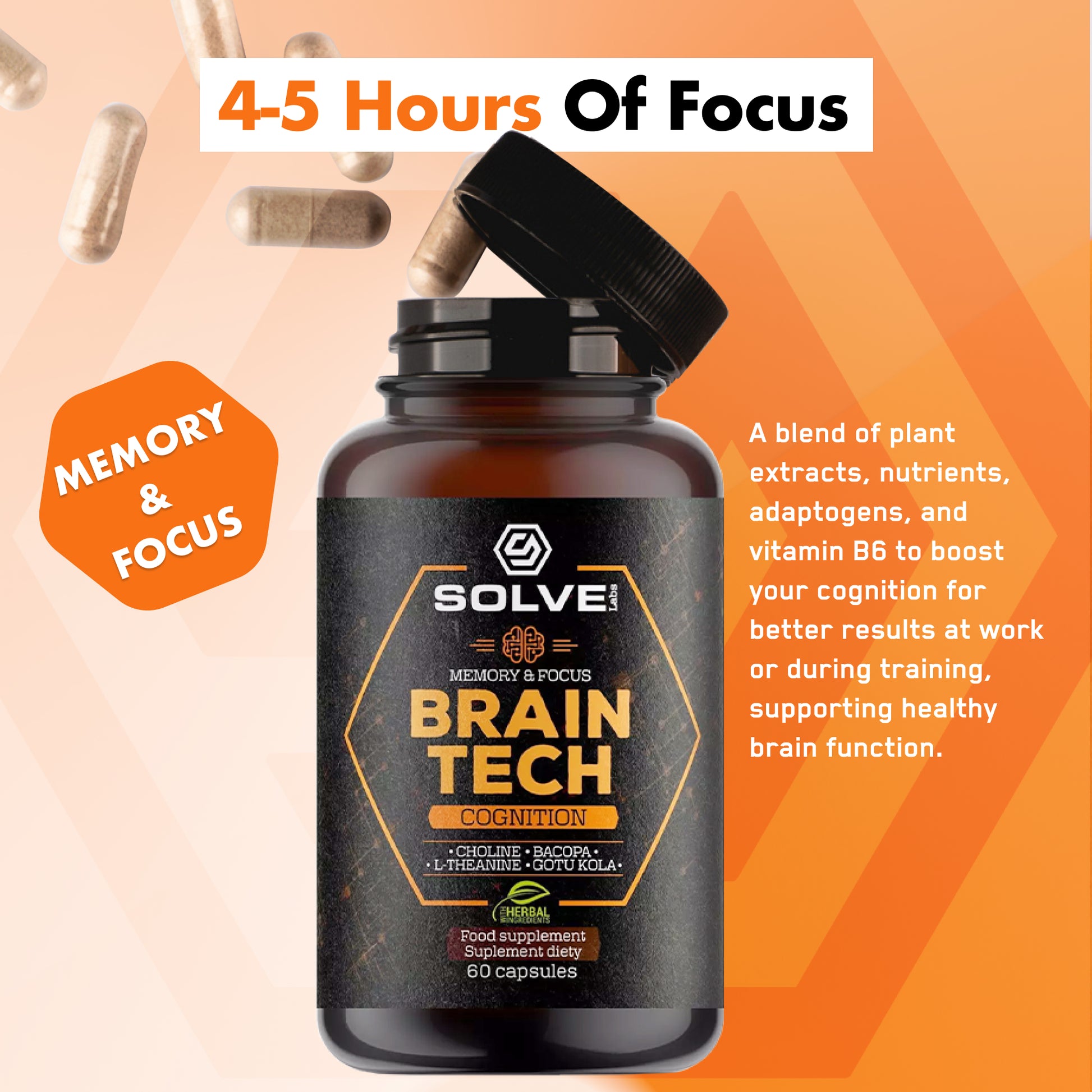 Lion's Mane - Solvelabs