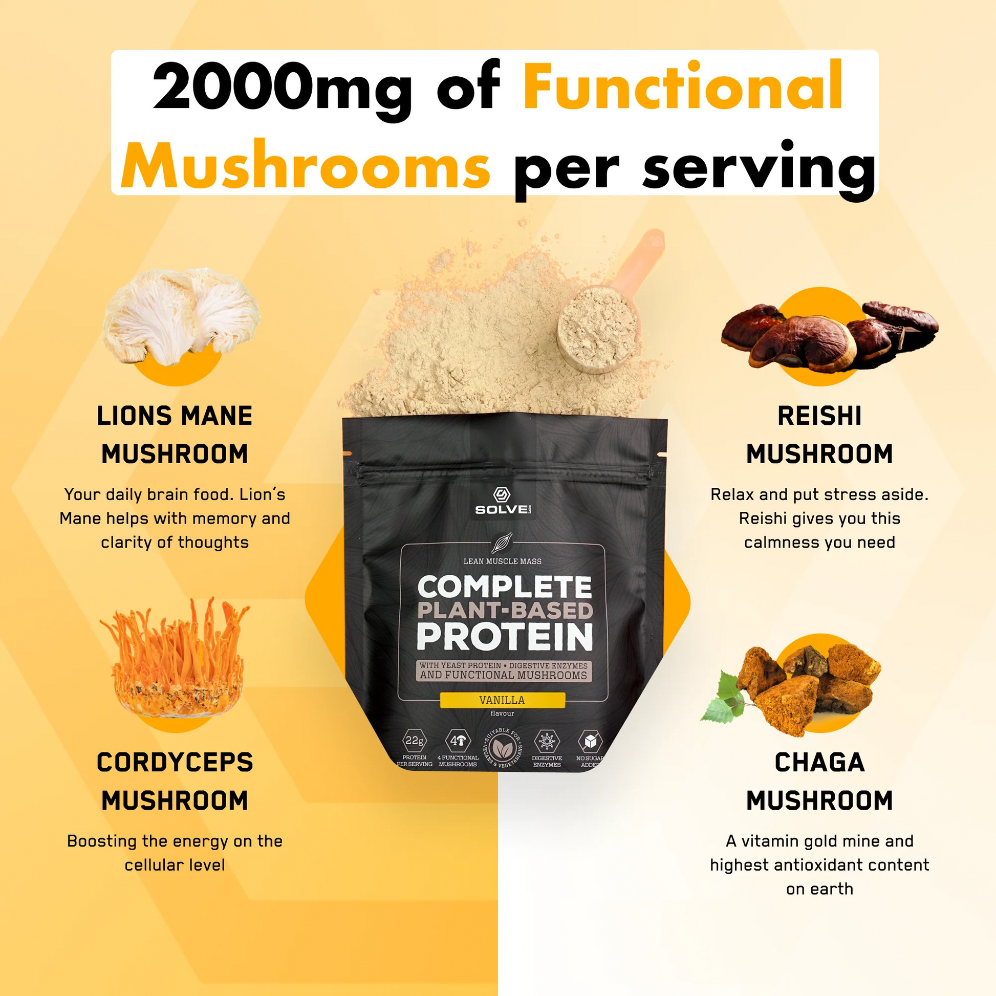 Lion's Mane - Solvelabs
