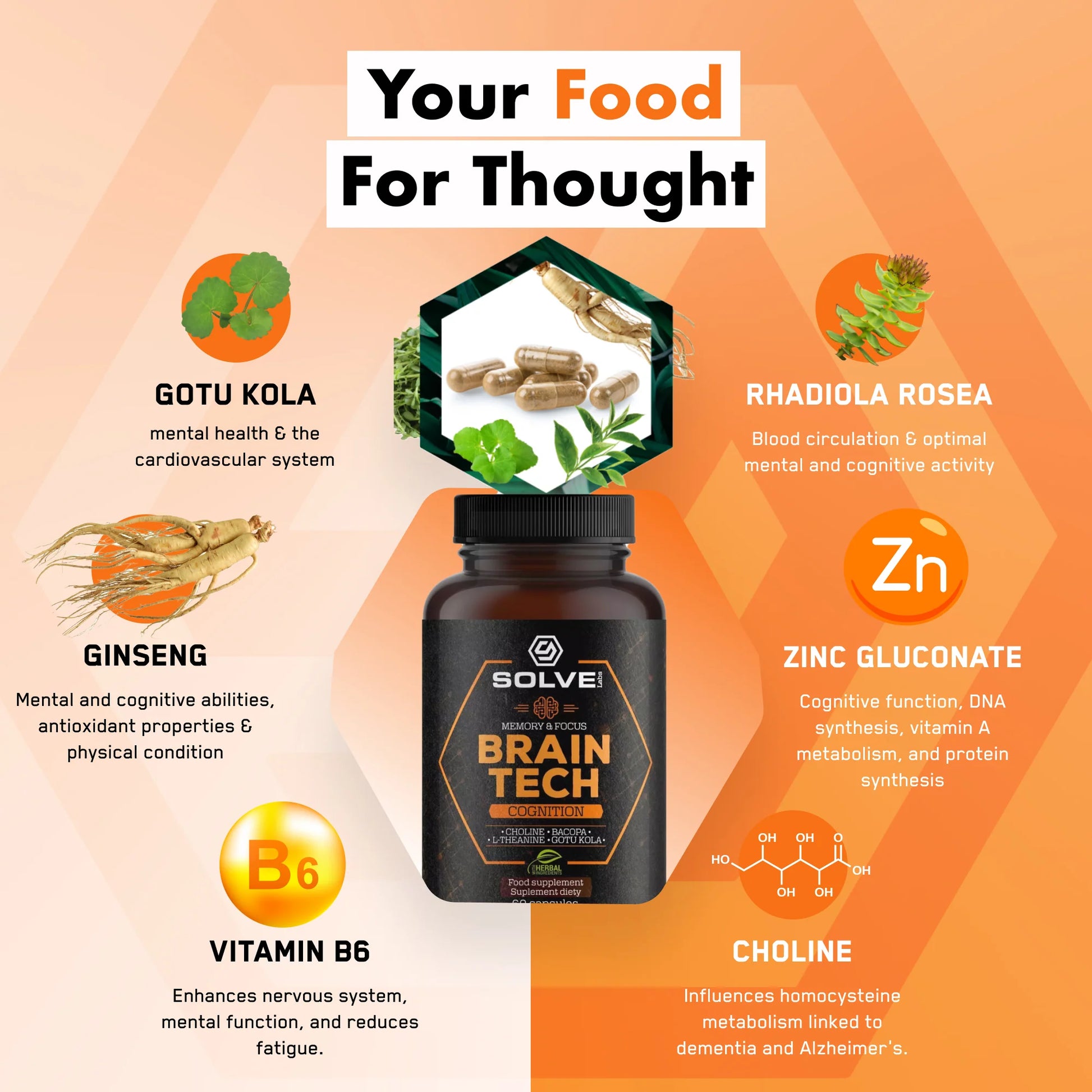 Lion's Mane - Solvelabs