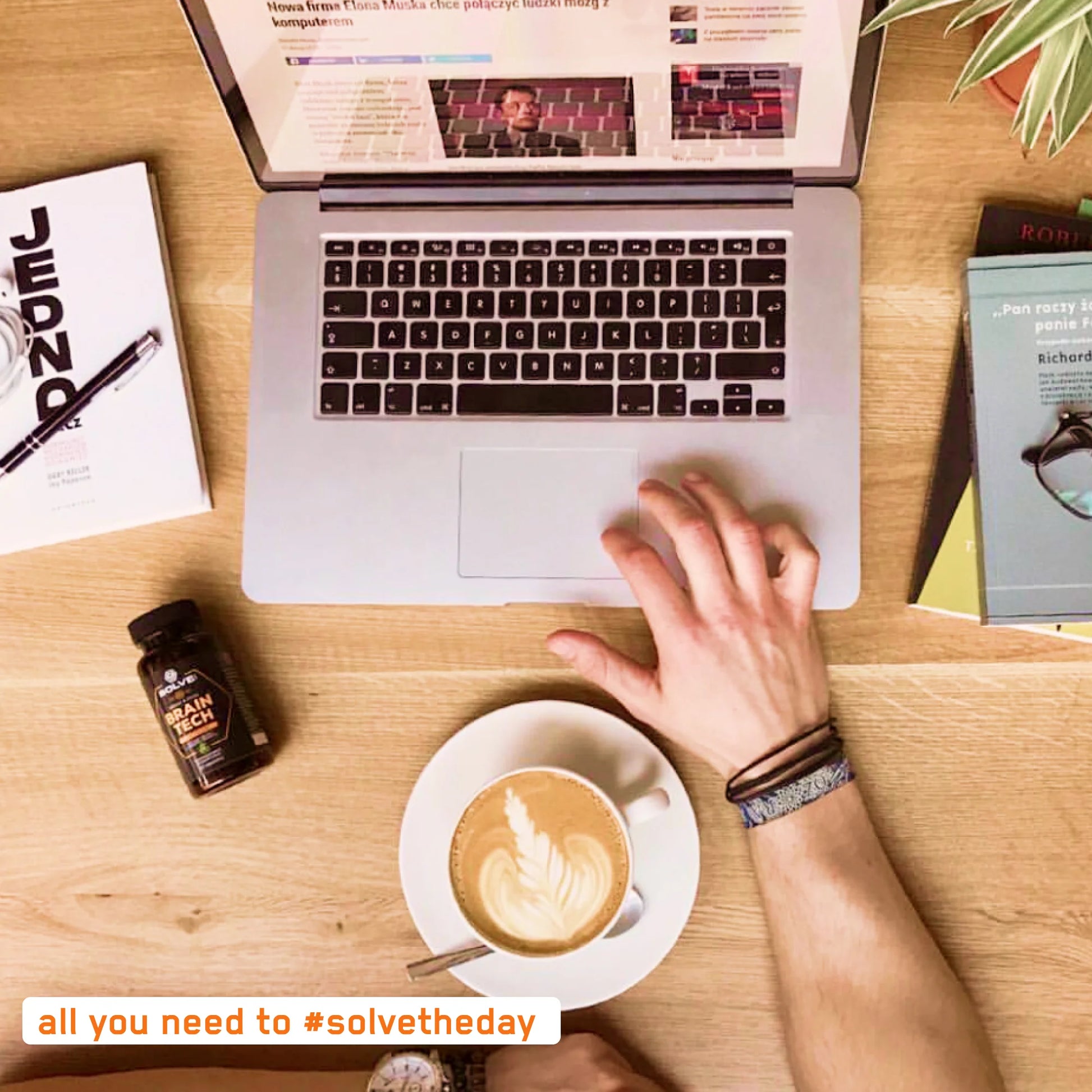 Lion's Mane - Solvelabs