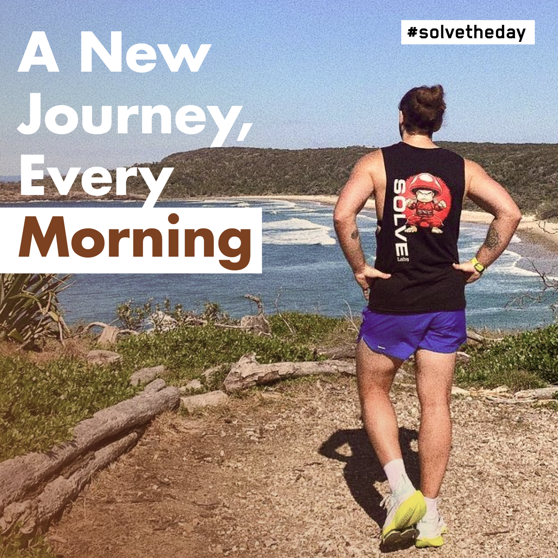 Lion's Mane - Solvelabs