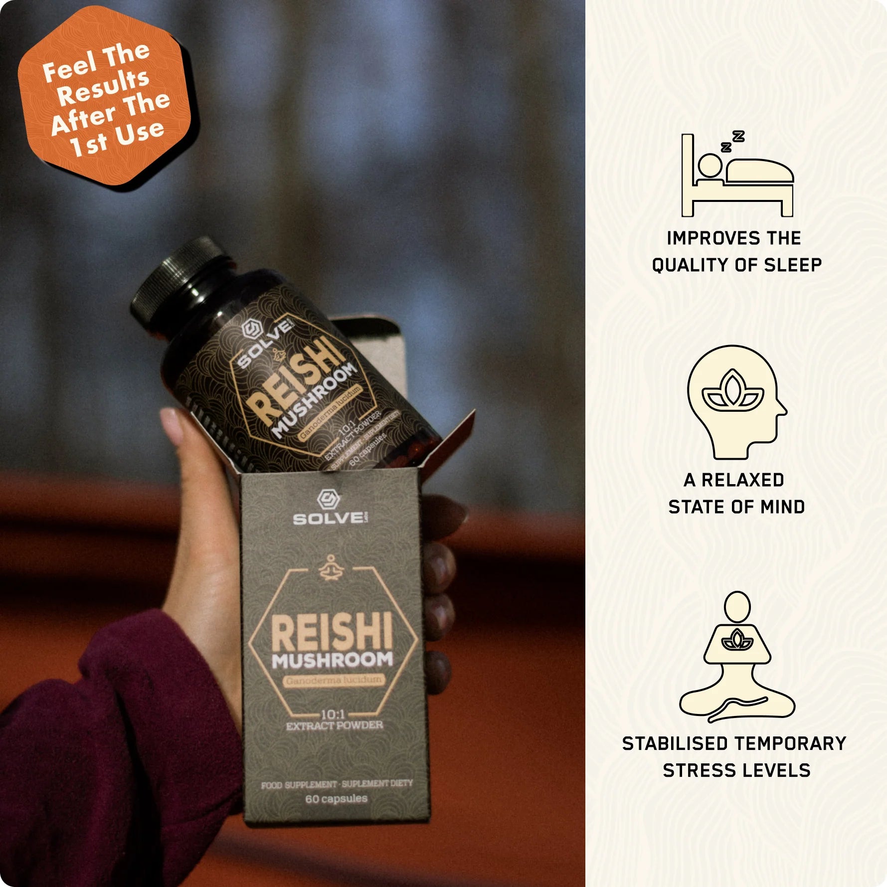 Lion's Mane - Solvelabs