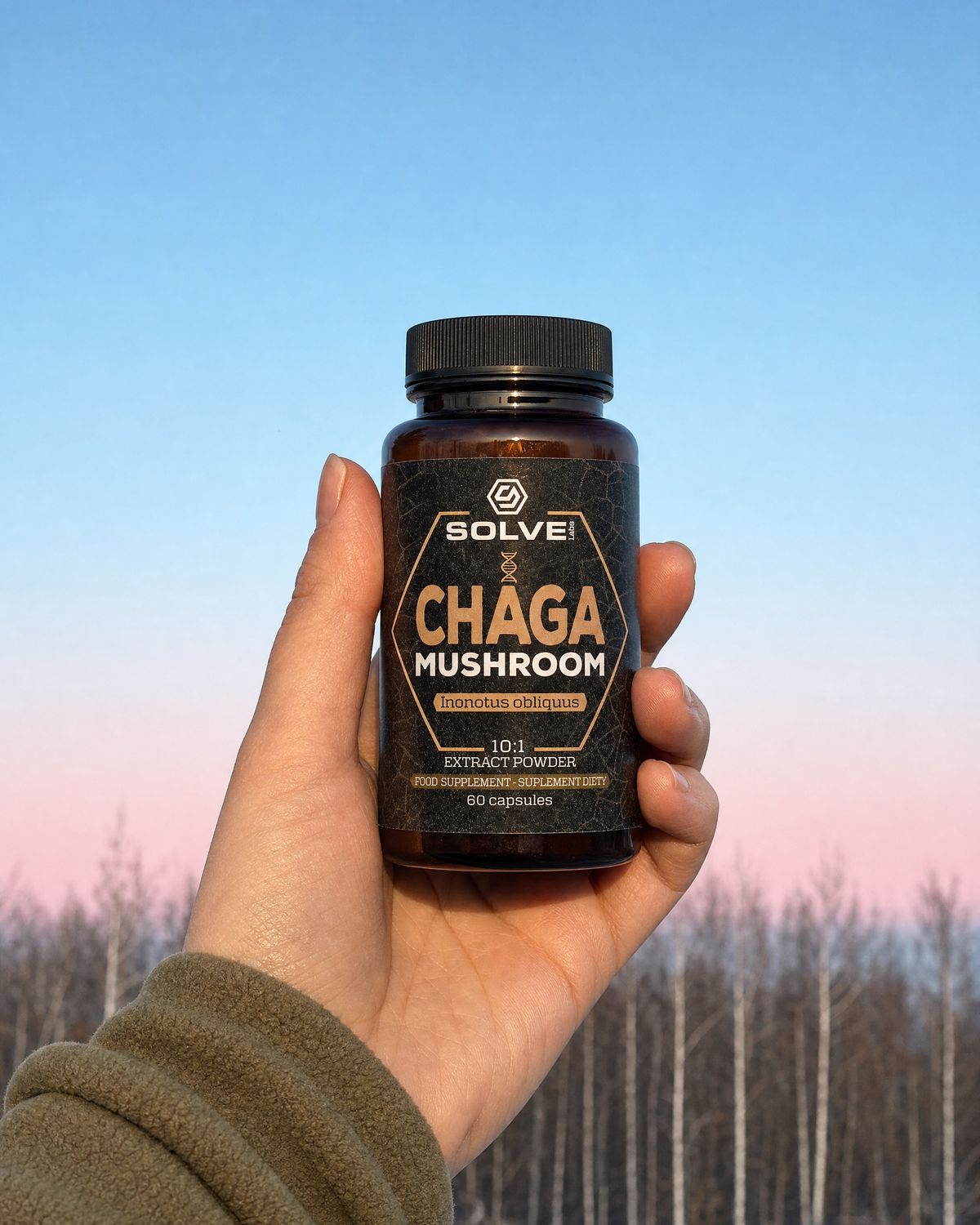 A hand holding up a jar of Solve Labs Chaga capsules against a cold morning sky over birch trees