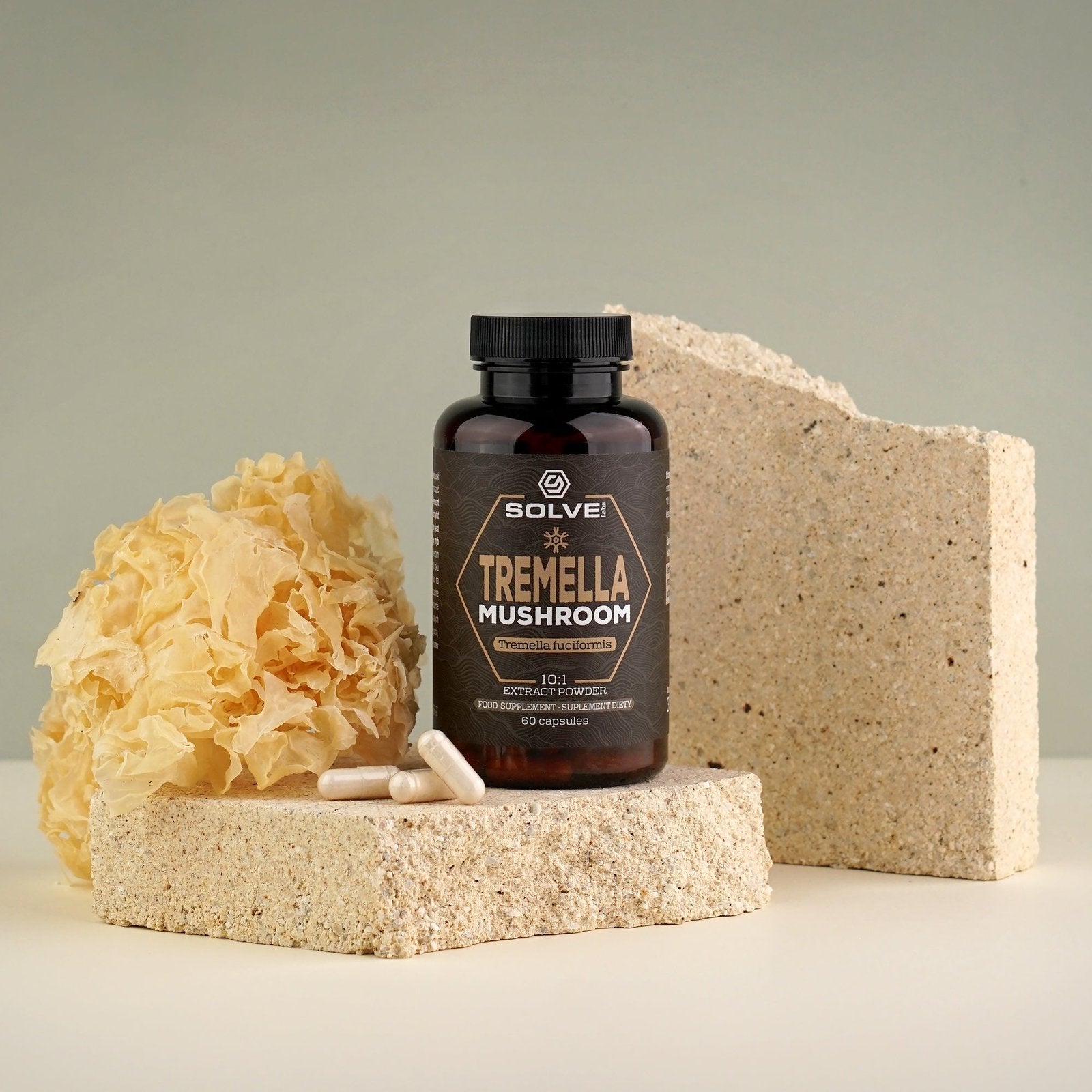 Le pot de gélules de Tremella Solve Labs sur une dalle de pierre claire, un champignon des neiges séché à côté et deux gélules devant