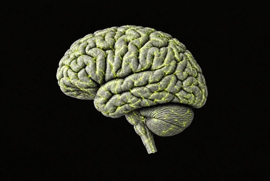 The brain in side view with a network of connections lit across the cortex