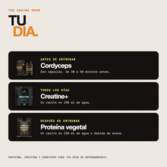 Tu día: cuándo tomar cada uno de los tres