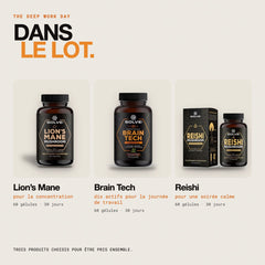 Contenu du lot : Lion’s Mane pur – gélules, Brain Tech (nootropique) et Reishi pur – gélules