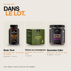 Contenu du lot : Matcha aux champignons, Brain Tech (nootropique) et Gummies Calm au Reishi