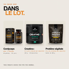 Contenu du lot : Cordyceps pur – gélules, Protéine végétale aux champignons et Creatine+