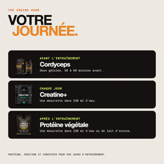 Votre journée : quand prendre chacun des trois