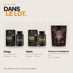 Contenu du lot : Reishi pur – gélules, Cacao aux champignons et Chaga pur – gélules