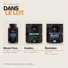 Contenu du lot : Shroom Force (pre-workout), Creatine+ et Électrolytes
