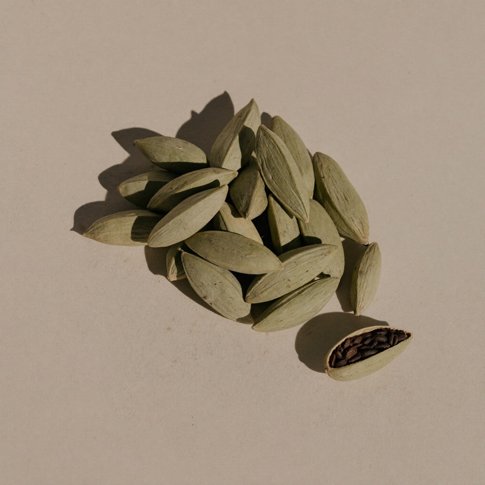 Cardamomo