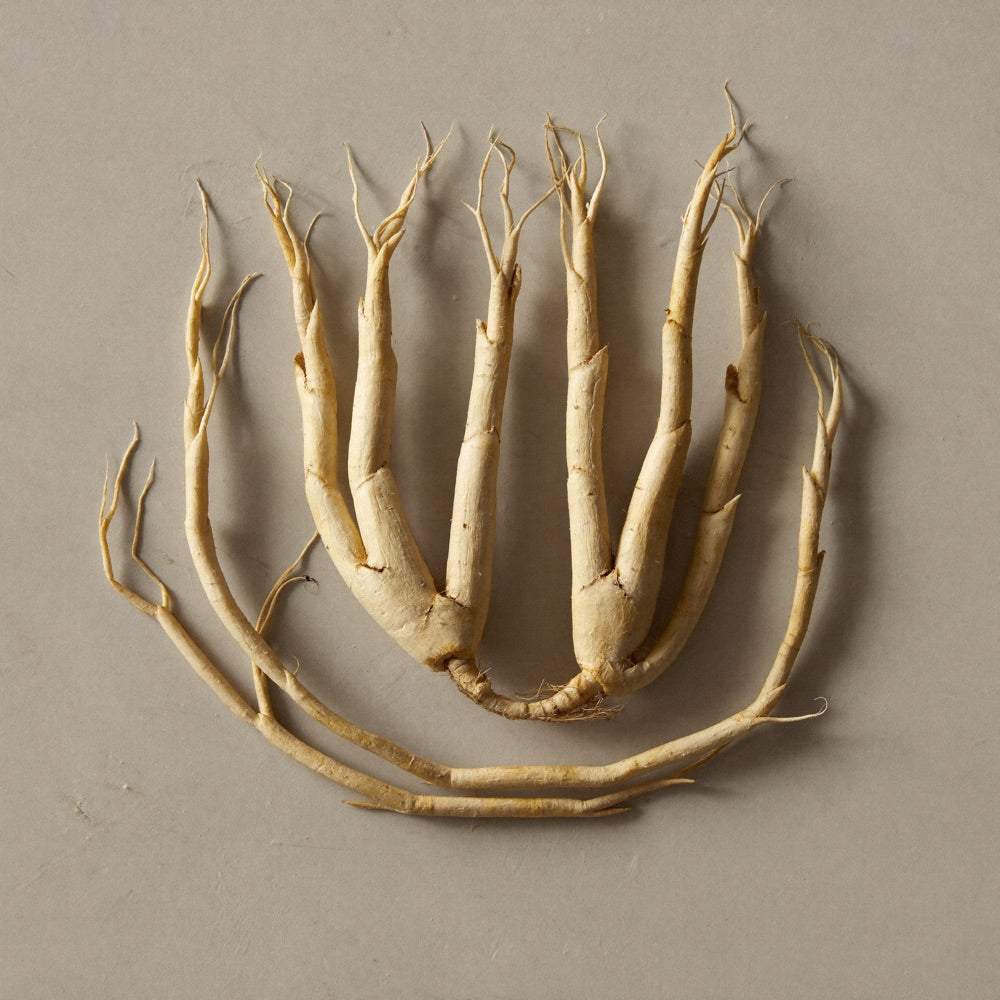 Ginseng
