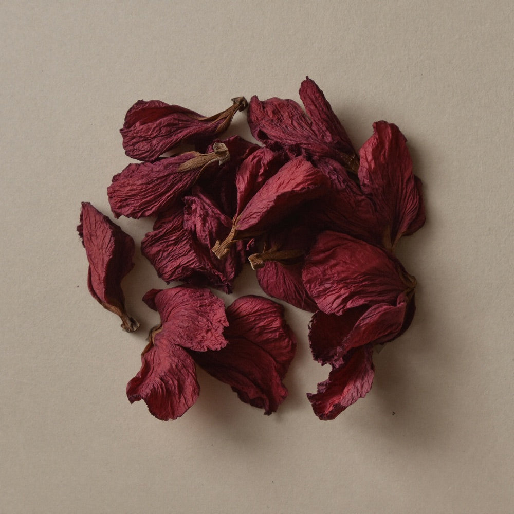 Hibisco