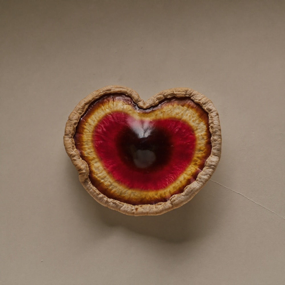 Reishi