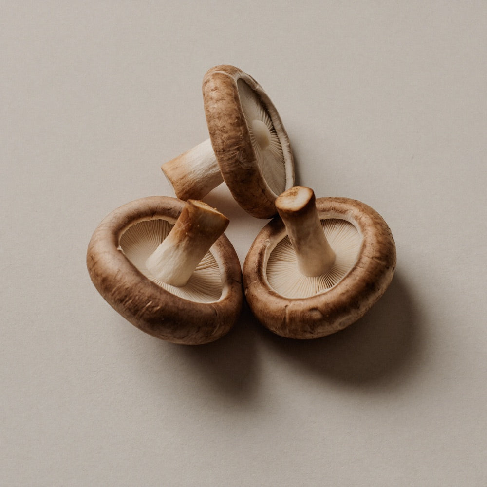 Shiitake