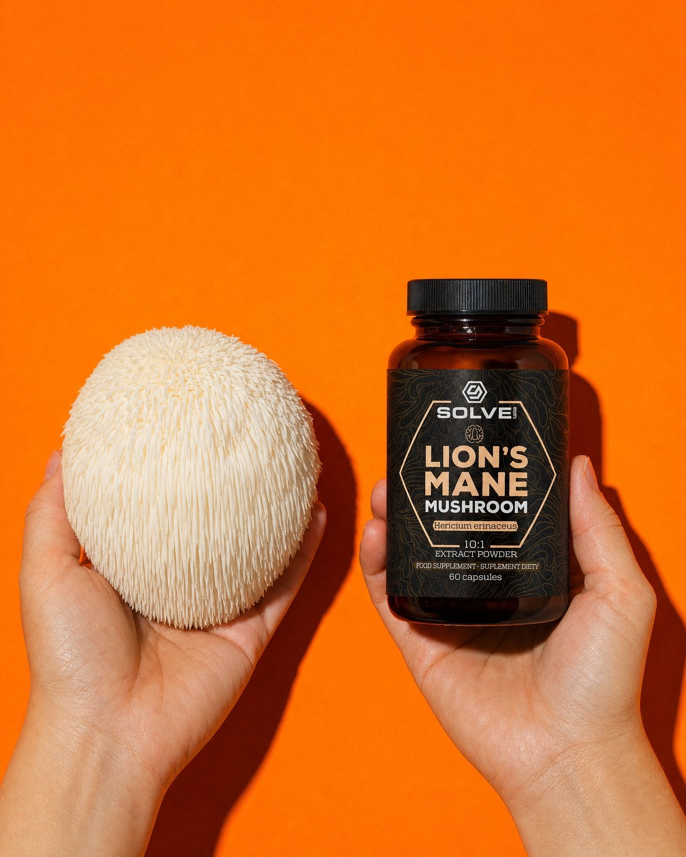 A hand holding a whole fresh Lion's Mane mushroom beside a hand holding the Solve Labs Lion's Mane jar, on an orange ground