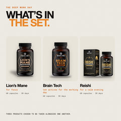 What is in the set: Pure Lion's Mane Capsules, Brain Tech Focus Capsules and Pure Reishi Capsules