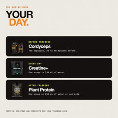 Your day: when to take each of the three