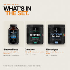 What is in the set: Shroom Force Pre-Workout, Creatine+ and Electrolytes