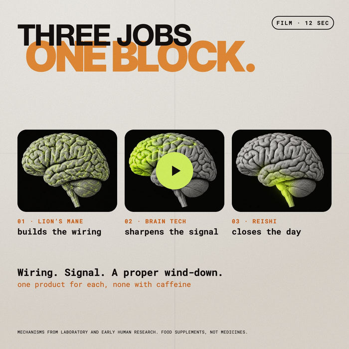 Film, 12 seconds. Three jobs, one block: Lion&rsquo;s Mane builds the wiring, Brain Tech sharpens the signal, Reishi closes the day